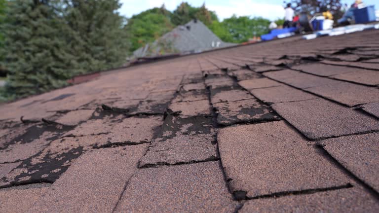 Best Roof Moss and Algae Removal  in Milford, IA